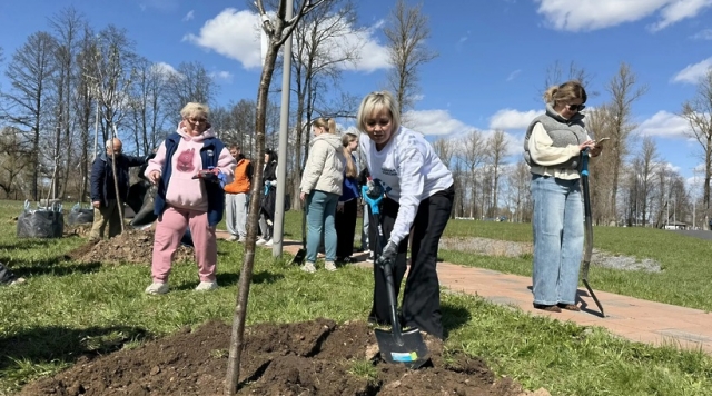 В парке «Ривьера» Можайского округа высадили 30 деревьев и развесили скворечники с посланиями жителей