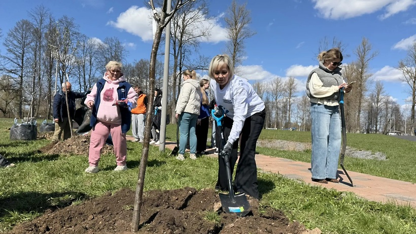 В парке «Ривьера» Можайского округа высадили 30 деревьев и развесили скворечники с посланиями жителей