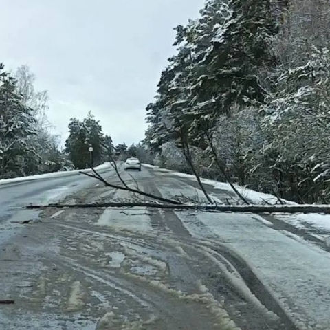 Трехдневный снегопад накроет Калужскую область